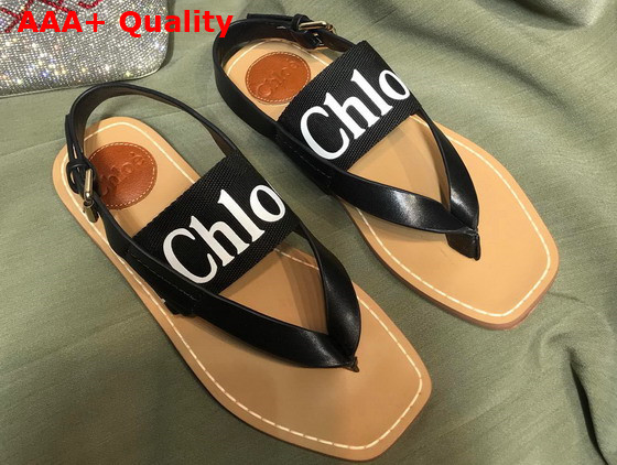 Chloe Woody Flat Sandal in Black Calfskin and Canvas Replica