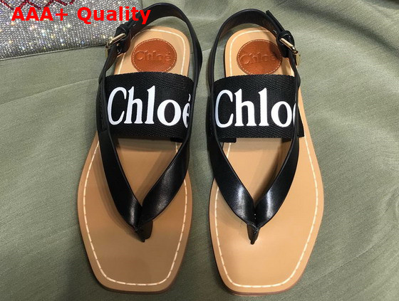 Chloe Woody Flat Sandal in Black Calfskin and Canvas Replica