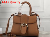 Delvaux Brillant Mini Bag in Brown Grain Leather with Hand Stitching Details Replica