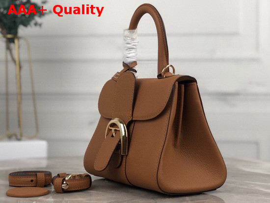 Delvaux Brillant Mini Bag in Brown Grain Leather with Hand Stitching Details Replica