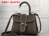 Delvaux Brillant Mini Bag in Taupe Grain Leather with Hand Stitching Details Replica