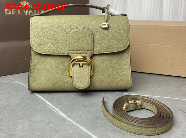 Delvaux Brillant Tempo Small Argile Allure Calf Leather Replica