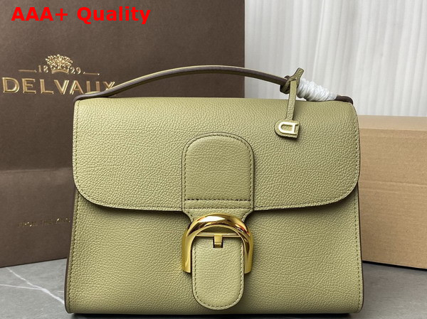 Delvaux Brillant Tempo Small Argile Allure Calf Leather Replica