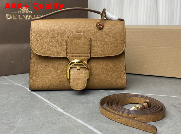 Delvaux Brillant Tempo Small Cinnamon Allure Calf Leather Replica