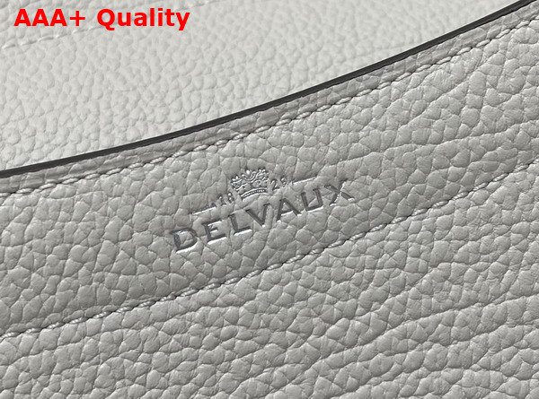 Delvaux Brillant Tempo Small Mistral Allure Calf Leather Replica