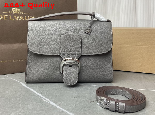 Delvaux Brillant Tempo Small Stone Grey Allure Calf Leather Replica