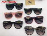 Burberry Round Frame Acetate Sunglasses Black Replica