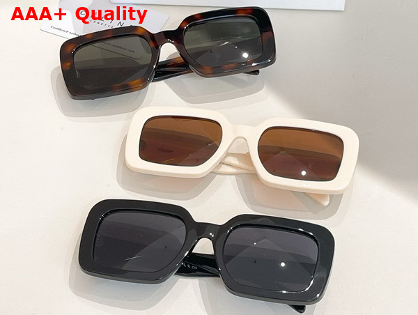 Celine Triomphe 13 Sunglasses in Acetate Ivory Replica