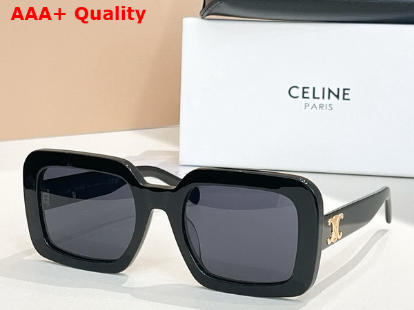 Celine Triomphe 13 Sunglasses in Acetate Ivory Replica