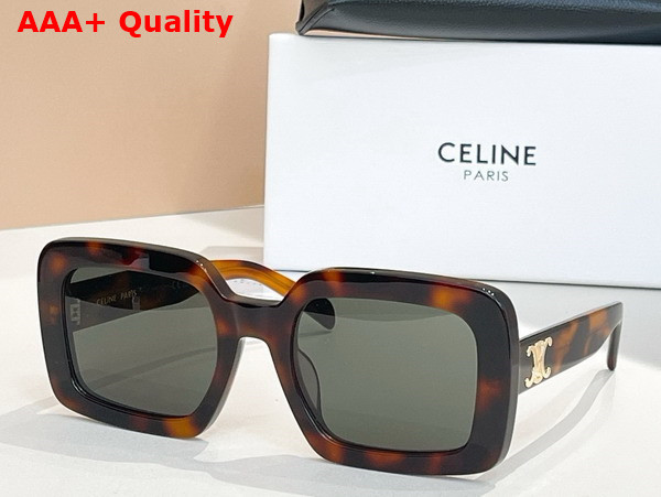 Celine Triomphe 13 Sunglasses in Acetate Ivory Replica