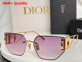 Dior 30Montaigne B3U Gradient Purple To Nude Butterfly Sunglasses Replica