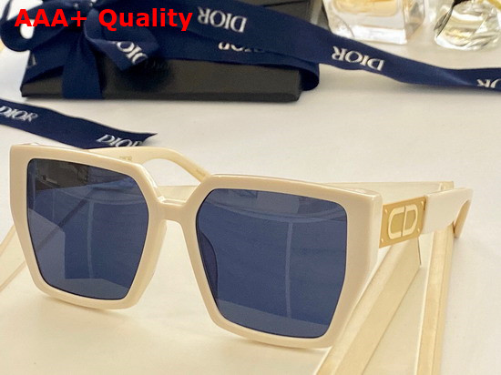 Dior CD Sunglasses Leopard Detail Replica