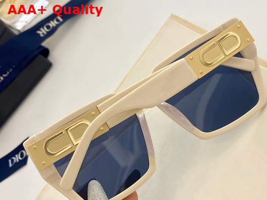 Dior CD Sunglasses Leopard Detail Replica