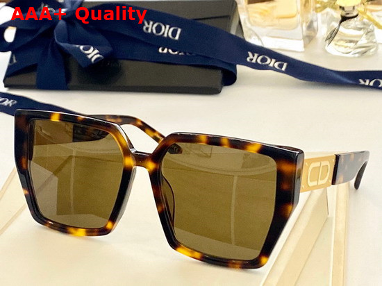 Dior CD Sunglasses Leopard Detail Replica