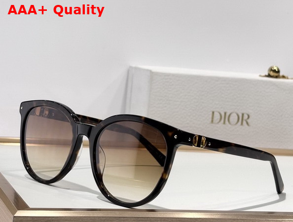 Dior Petit CD R1F Black Round Sunglasses Replica