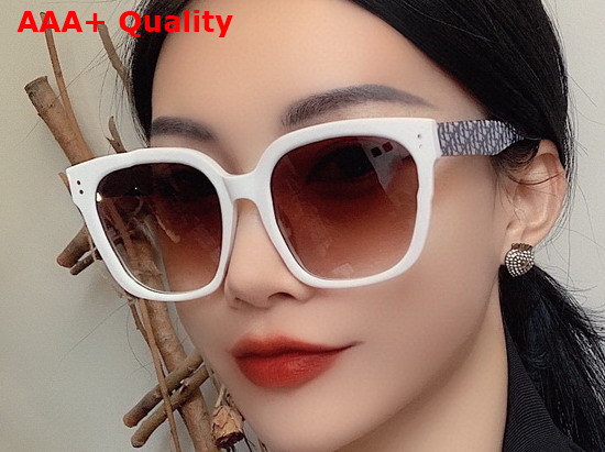 Dior Round Sunglasses with Dior Oblique Motif Replica