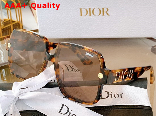 Dior Square Sunglasses in Black and White Replica