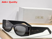 DiorOmbre S1F Black Rectangular Sunglasses Replica