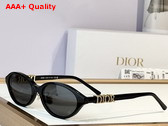 DiorTreasure R1F Black Oval Sunglasses Replica