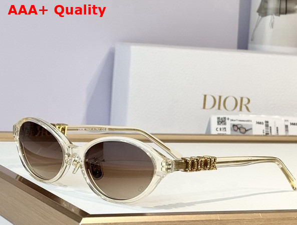 DiorTreasure R1F Black Oval Sunglasses Replica
