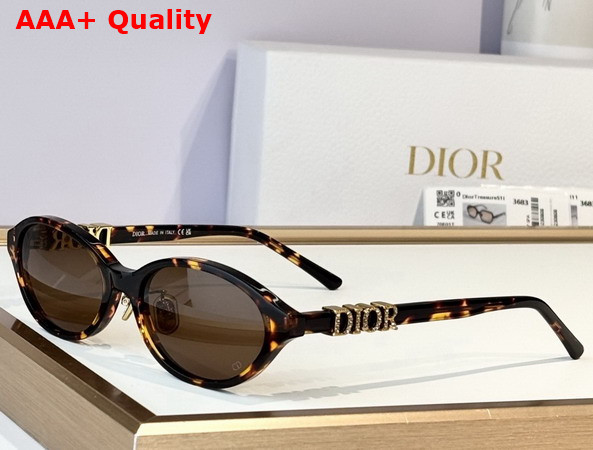 DiorTreasure R1F Black Oval Sunglasses Replica
