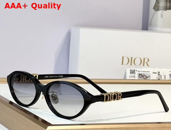 DiorTreasure R1F Black Oval Sunglasses Replica