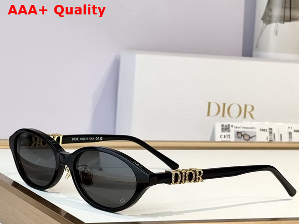 DiorTreasure R1F Black Oval Sunglasses Replica