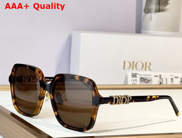 DiorTreasure S1F Black Square Sunglasses Replica