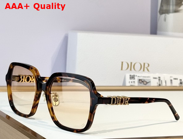 DiorTreasure S1F Black Square Sunglasses Replica