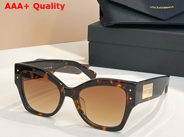Dolce Gabbana DG Logo Plaque Sunglasses Havana Replica