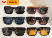 Fenid Square Sunglasses Havana Acetate Replica