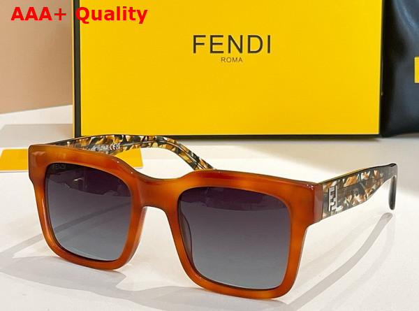Fenid Square Sunglasses Havana Acetate Replica