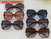 Valentino Studded Butterfly Acetate Frame Sunglasses in Black Replica