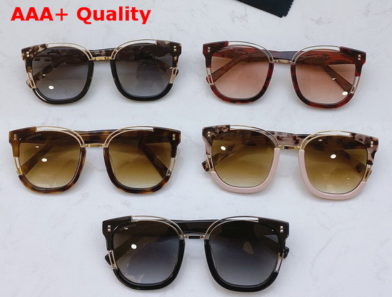 Valentino Womens Round Acetate Sunglasses in Coffee Color Replica