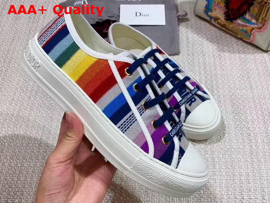 Christian Dior Walk N Dior Sneaker in Multi coloured Embroidered Canvas Replica