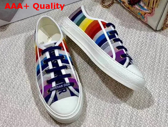 Christian Dior Walk N Dior Sneaker in Multi coloured Embroidered Canvas Replica