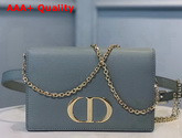 Dior 30 Montaigne 2 in 1 Pouch Gray Stone Calfskin Replica