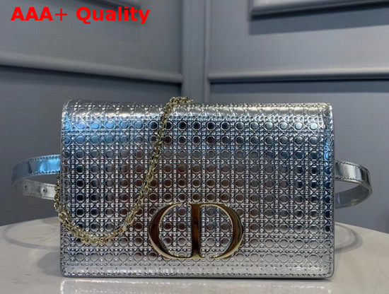 Dior 30 Montaigne 2 in 1 Pouch Metallic Steel Gray Microcannage Calfskin Replica