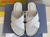 Dior Alias Sandal in Gray Dior Oblique Jacquard Replica