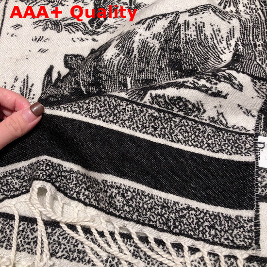 Dior Around The World Throw Blue Wool Replica