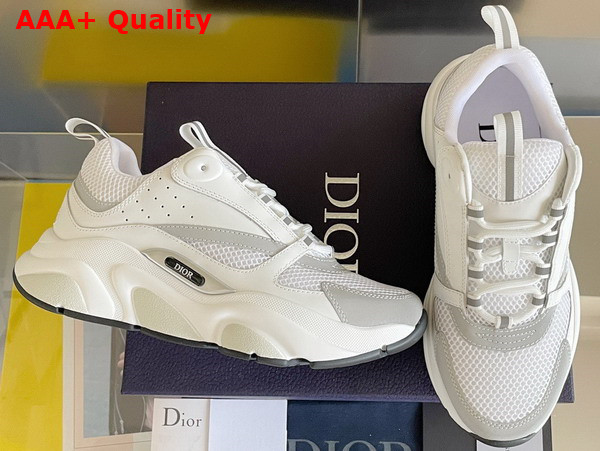 Dior B22 Sneaker White Technical Mesh with White and Silver Tone Calfskin Replica