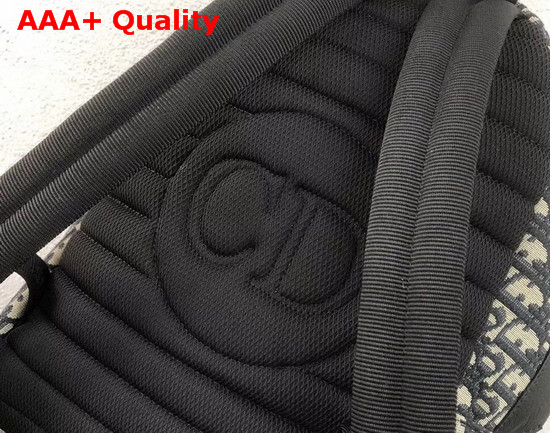 Dior Backpack in Dior Oblique Canvas and Black Grained Calfskin with Signature Dior Detail Replica