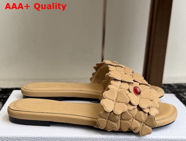 Dior Bloom Slide in Beige Dior Clover Embroidered Lambskin Replica