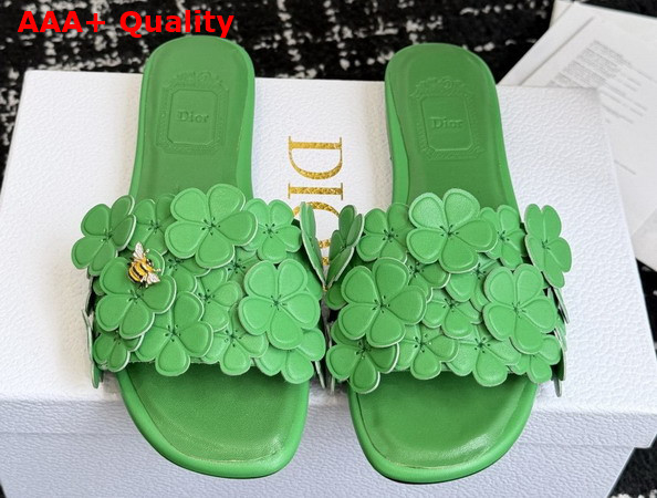 Dior Bloom Slide in Green Dior Clover Embroidered Lambskin Replica