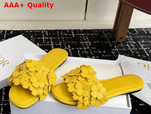 Dior Bloom Slide in Yellow Dior Clover Embroidered Lambskin Replica