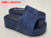 Dior Blue Denim Dway Dior Oblique Embroidered Cotton Wedge Mule Replica