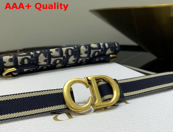 Dior Blue Saddle Dior Oblique Pouch Belt Replica