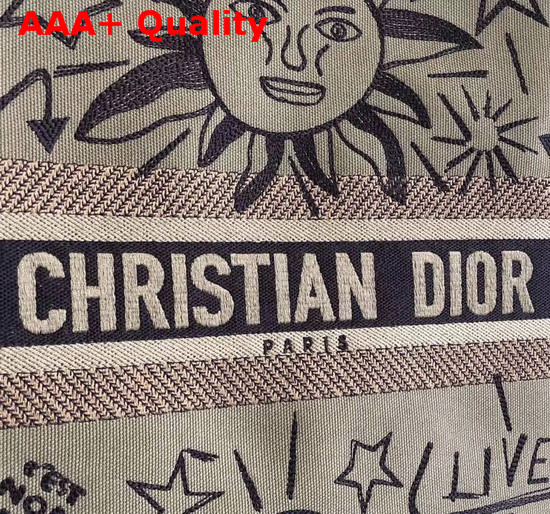 Dior Book Tote in Green Embroidered Canvas Replica