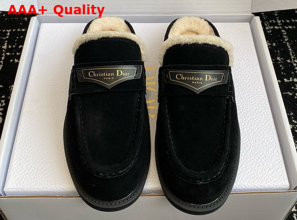 Dior Boy Mule in Black Suede Goatskin Replica