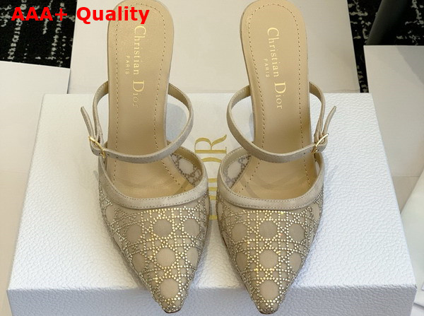 Dior Capture Heeled Mule in Transparent Mesh with Strass Cannage Motif and Nude Suede Goatskin Replica